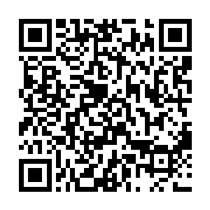 也就意味着一场飓风即将在神圣大礼堂的舞台上降临二维码生成