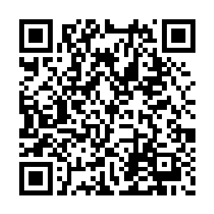 也就意味着双凤帮此刻只有凤秋白一个九劫真神二维码生成