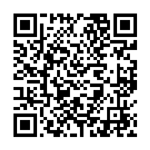 也就意味着它们洞窟旁边的墨蝰藤精华已经被吸食殆尽二维码生成