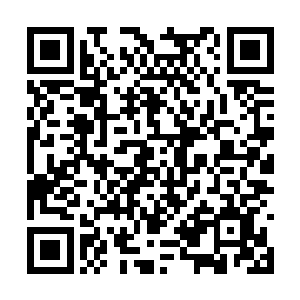 也就意味着我已经得到了昊天域界所有星辰的认可二维码生成