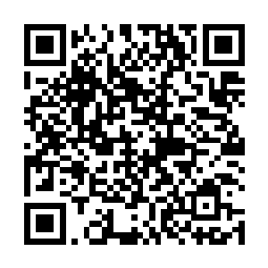 也就意味着谷强对去污剂的选择的容忍度就提高了许多二维码生成