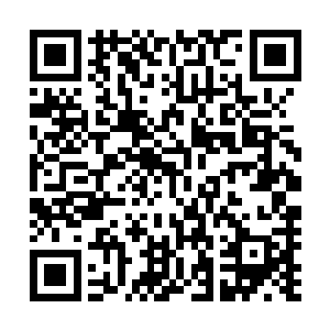 也就是七年前才意外得知当时的夏侯渊晋是被明郁给引来的二维码生成