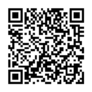 也就是到了这个时候她才感觉到原来自己的交际面这么的少二维码生成