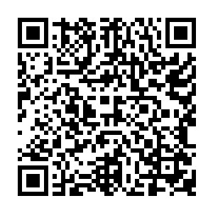 也就是前期已经被检察院刑事拘留的泽口县公安局局长找人打伤两姊妹的兄长二维码生成