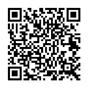 也就是在云梦王后迟疑的这一刻那韩子非再次朝着她冲了过来二维码生成