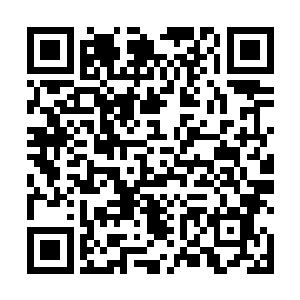 也就是在那一颗灰岩菇的根茎所在的数米深的地面之下二维码生成