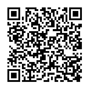 也就是在那张宽大的胡桃木办公桌上蹲着看白兰处理那比她还高的几叠文件而已二维码生成