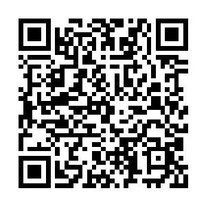 也就是大宇宙战场上的丁铃铛他们想要唤醒的人二维码生成