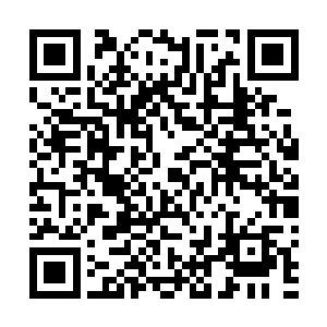 也就是大换血过后加盟了实力新秀的lcd战队之前的两场bo2二维码生成