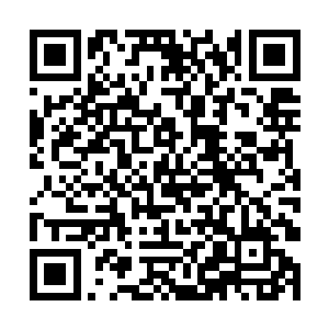 也就是孙子轩早就已经对无良大叔的出场方式习惯了二维码生成