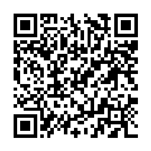 也就是想要训练他们拥有这种以自我为中心的思想二维码生成