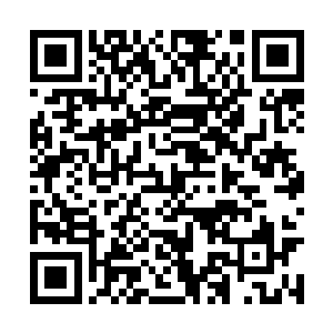 也就是昔日悲惨生活在废土之上的平民百姓的后裔二维码生成