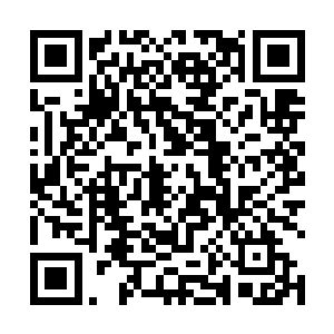 也就是曾利用几个辅助英雄便登顶过国服第一的射可可二维码生成