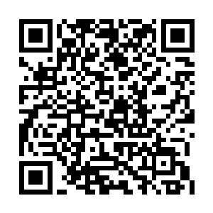 也就是杀戮天使昔拉其实也算是有着一定的交情二维码生成