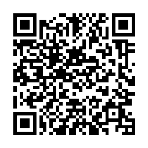 也就是武帝层次强者而已……但是他身上流露出来的气息二维码生成