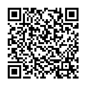 也就是比刚刚闯过登仙路的修真者稍稍强一些罢了二维码生成