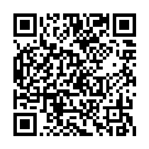 也就是现在大家看到的建筑物是我们的议事大厅二维码生成