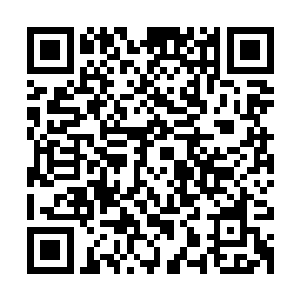 也就是白奇雪饰演的角色虽然和自己的妈妈妹妹一样欺负灰姑娘二维码生成