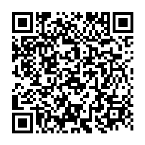 也就是第一轮放映时全国所有卫视地方台只有它一家电视台可以放映二维码生成