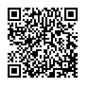 也就是能拉到一笔八百万的投资去做一部小成本网络剧而已二维码生成