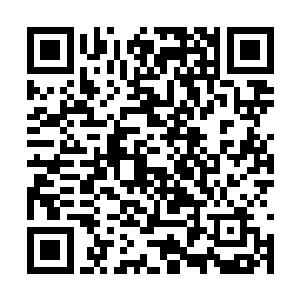 也就是被众人称之为仙女下凡的那一位琴心姑娘了二维码生成