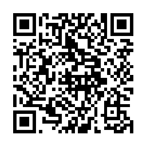 也就是说万象初期境界的黄庭修士可战万象后期的命府修士二维码生成