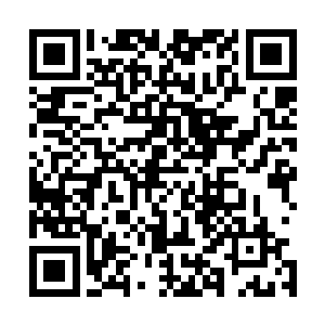 也就是说以后百花派内部的能领浓郁程度比外面要浓厚一些二维码生成