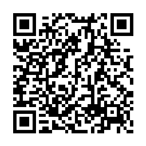 也就是说你之前是不是做过什么伤天害理的事情二维码生成