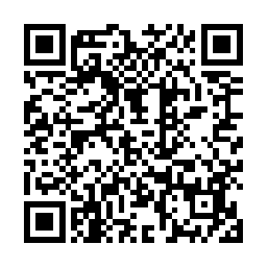 也就是说你们可以在我们符盟藏书阁的第一层阅读半日二维码生成
