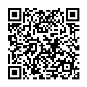 也就是说北戎和西陵打算时间根本不会有什么冲突二维码生成