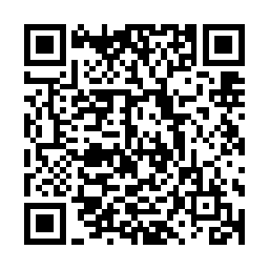 也就是说压根就没想过要等主子或者和主子坐一块吃饭的意思二维码生成