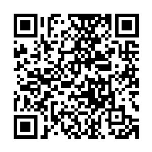 也就是说哪怕是火灵根修士在这里也不能够吸收这里的火元力二维码生成