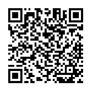 也就是说如今这些丹妖最差的修为也是仙帝后期巅峰二维码生成