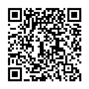 也就是说如果说能够尽可能的疏通好陆为民这边的关系二维码生成