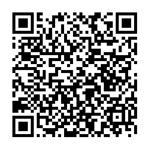 也就是说当初测量的数字是他的初始力量而非他现在这个基因的极限力量二维码生成