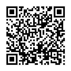 也就是说每个修士都能够分到将近二十亿极品仙晶二维码生成