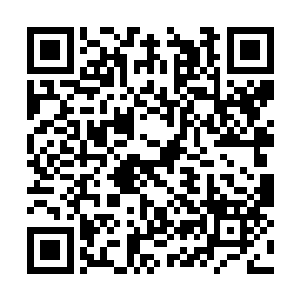 也就是说海底某种不知名的生物竟然游了三百海里二维码生成