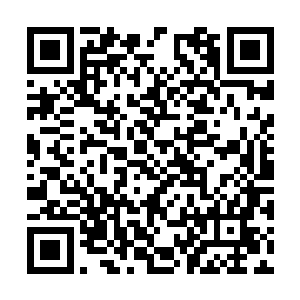 也就是说王子肯定会在七天半最后期限到达原大陆二维码生成