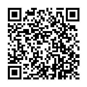 也就是说王铮应该是掌握了五行之中的每一种属性二维码生成