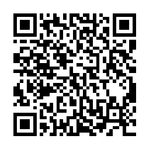也就是说自己今天估计要被水中的这只大白鲨活活的咬到死二维码生成