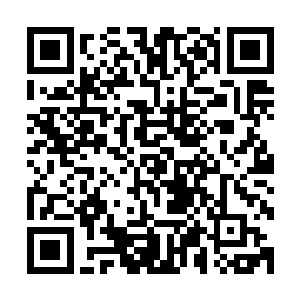 也就是说这个出现的下位神级别的强者已经不是正常的人类了二维码生成