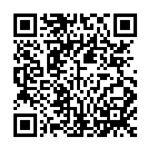 也就是说这些混沌兽和百族修士之死根本就不是相互厮杀造成二维码生成