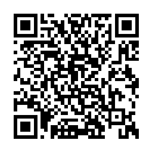 也就是说除了把人打死的一切后果他都愿意承担二维码生成