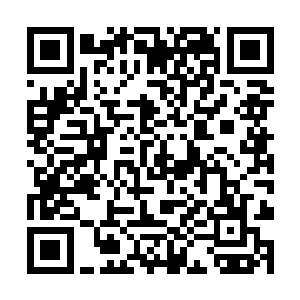 也就是负责处理孟家孟静妍离家出走案子的警察队长二维码生成