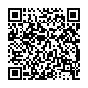 也就是这场比赛对许紫烟来说真的没有什么价值二维码生成