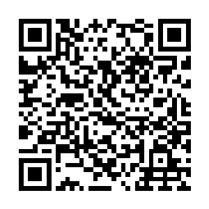 也就是那个用化身接林铭等人来穆月星的界王强者二维码生成