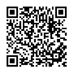 也就是那位曾经替孤岛大蛊师开启毒兽世界四大封印的结界师二维码生成