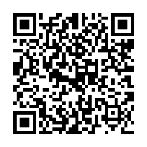 也就是那名当事人的父亲听闻此事后亲自去往降服那匹烈马二维码生成