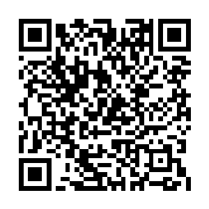 也就是那日在警局门口为安心与自己争执的家伙二维码生成