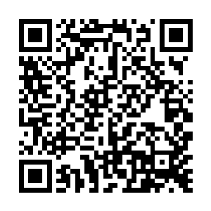 也就是除了梁书记之外肯定有入对这件事情是表过态喽二维码生成